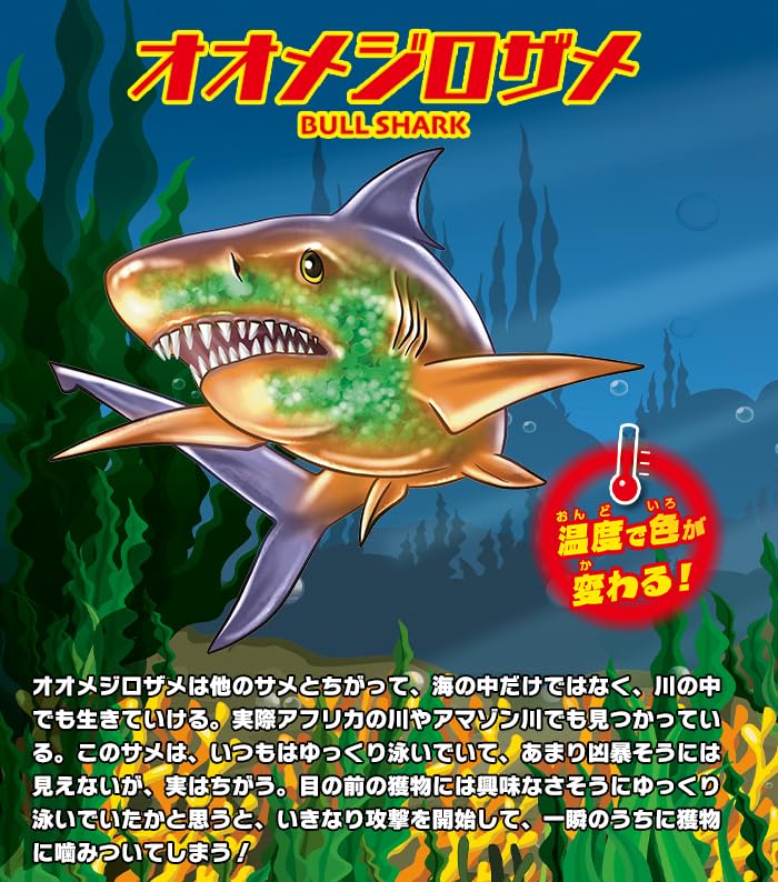 Amazon.co.jp: シャークアタック＆Co. アンドコ 5.オオメジロザメ